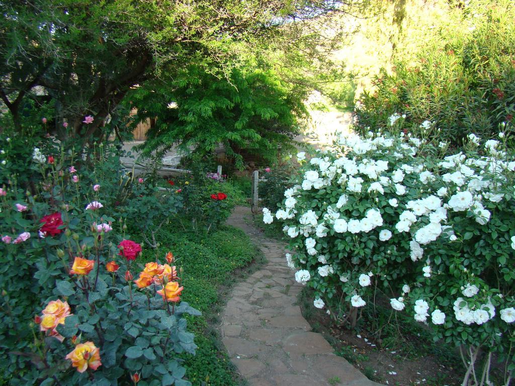 Waterval Farmstay Graaff-Reinet Εξωτερικό φωτογραφία