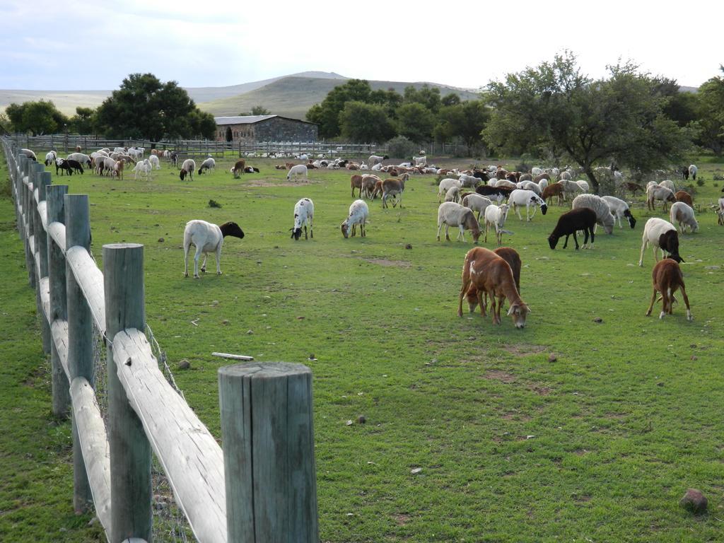 Waterval Farmstay Graaff-Reinet Εξωτερικό φωτογραφία